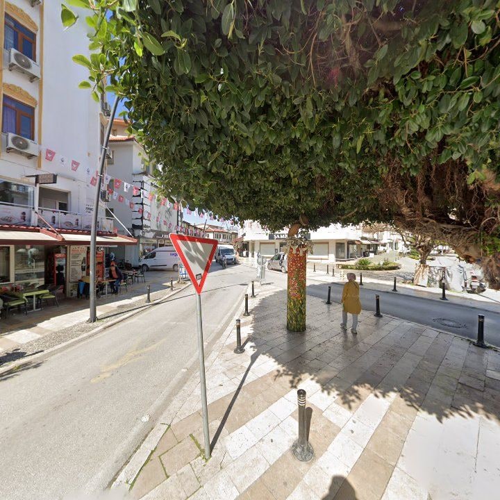 Fotoğraf 8