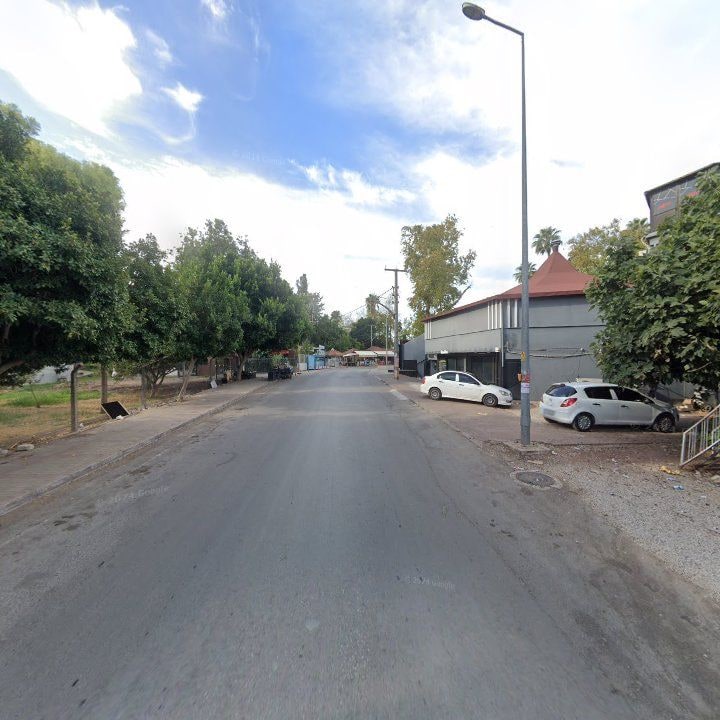 Fotoğraf 8