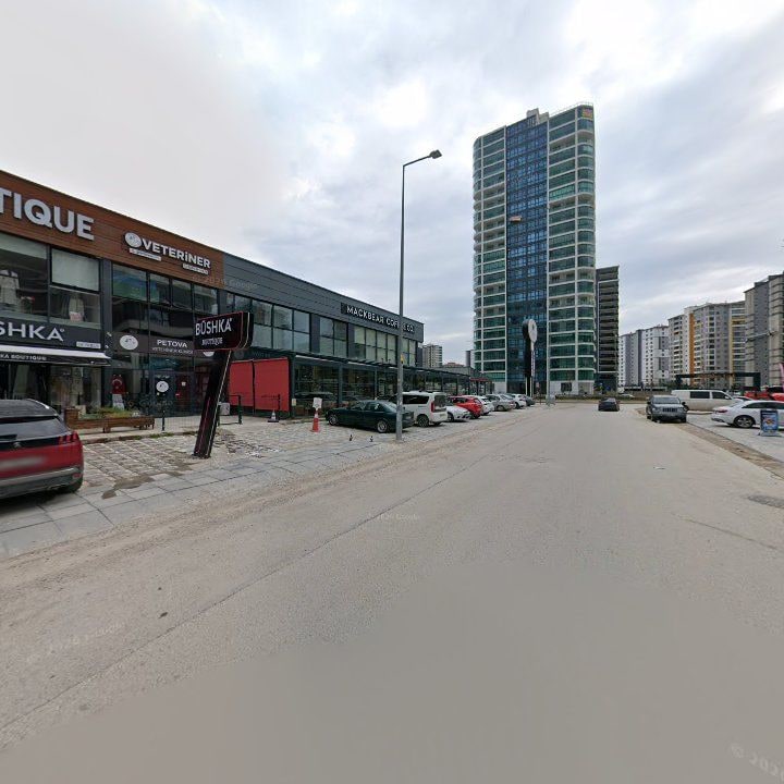 Fotoğraf 10