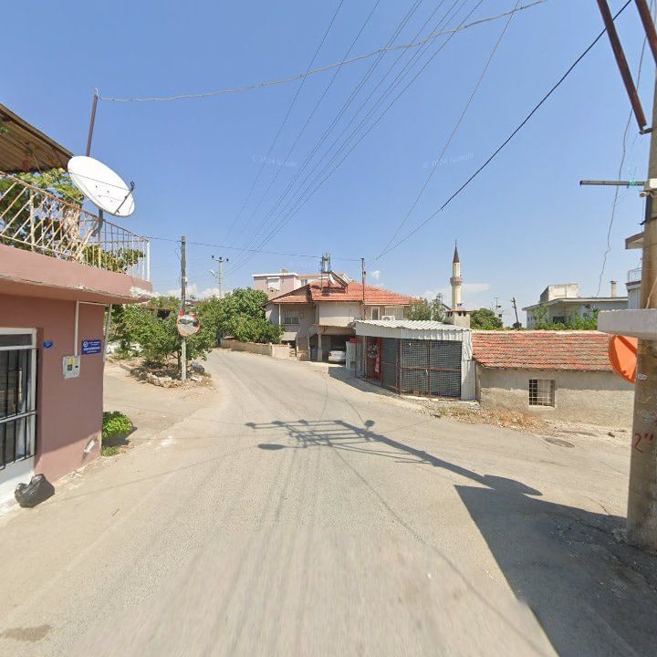 Fotoğraf 3