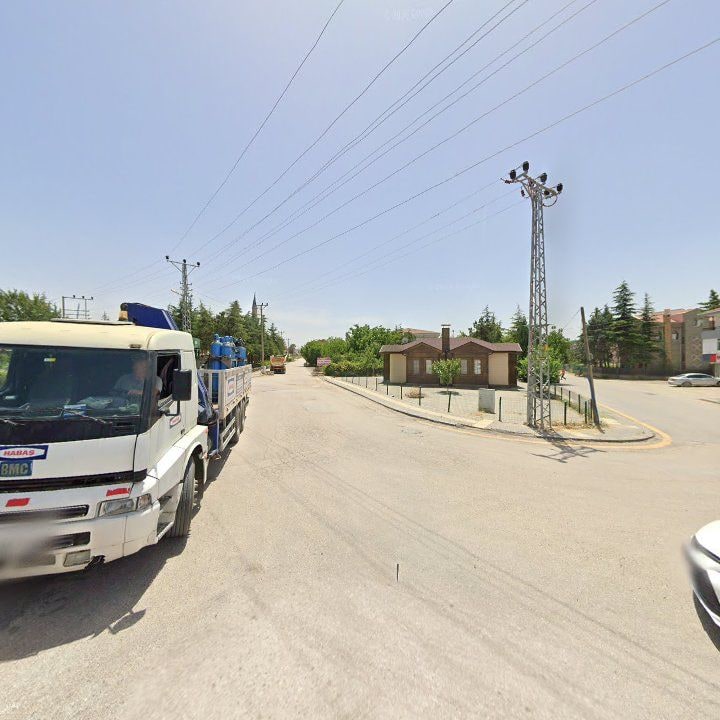 Fotoğraf 11
