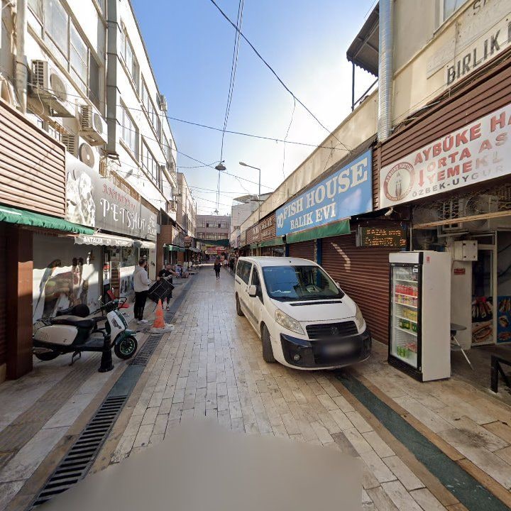 Fotoğraf 15
