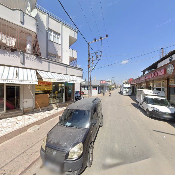 Fotoğraf 4