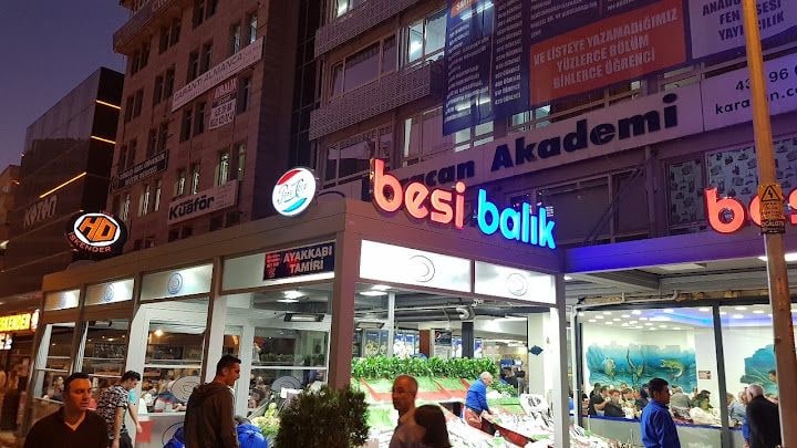 Besi Balık Pişirme
