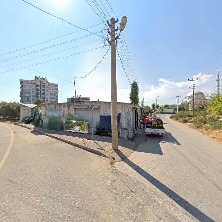 Fotoğraf 6