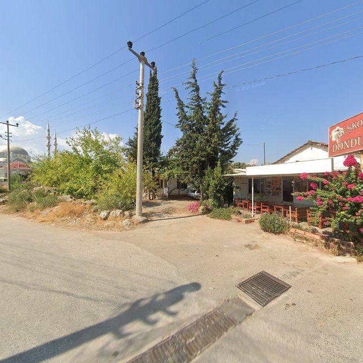Fotoğraf 3