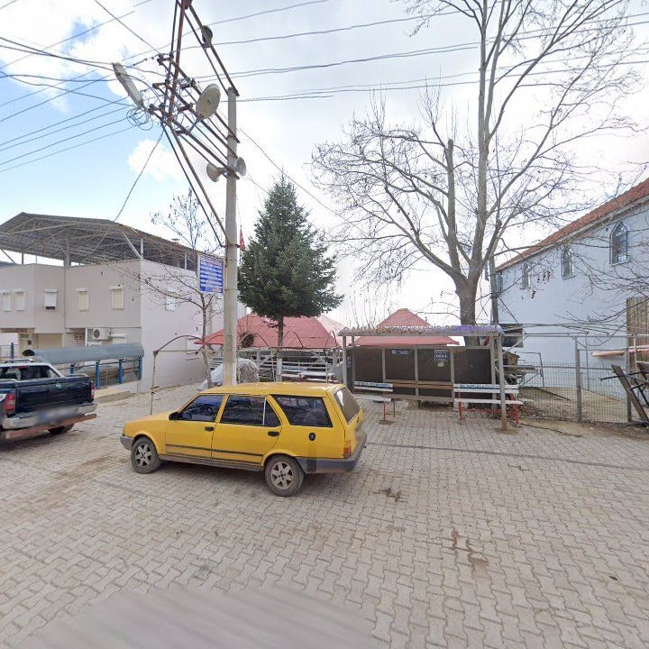 Fotoğraf 8