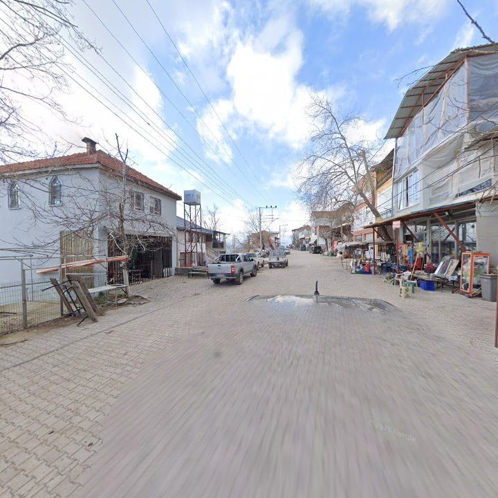 Fotoğraf 9