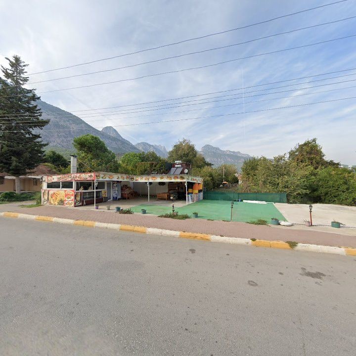 Fotoğraf 11