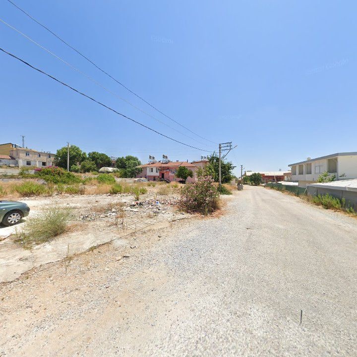 Fotoğraf 15