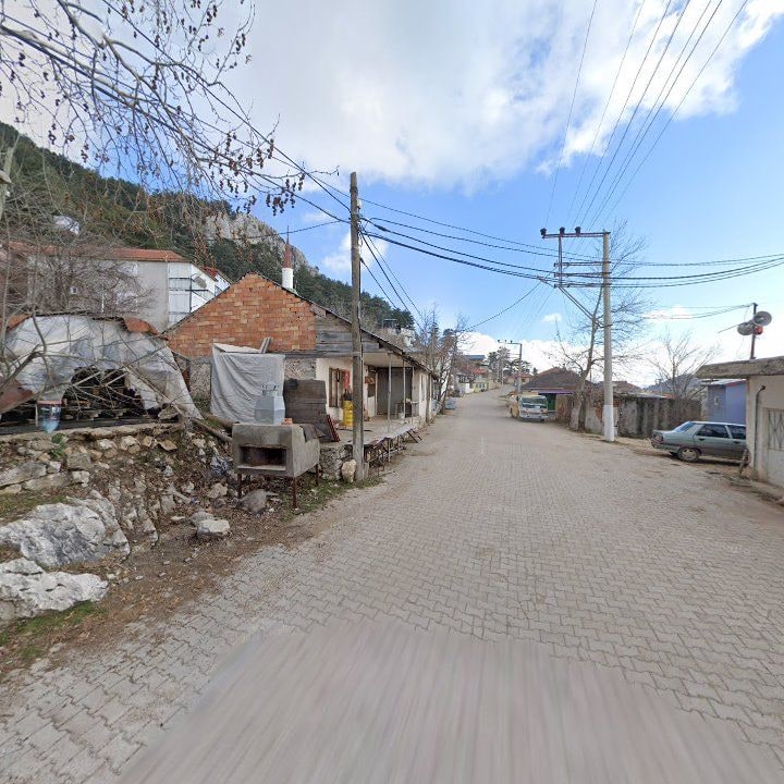 Fotoğraf 7