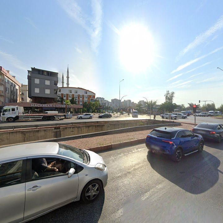 Fotoğraf 10