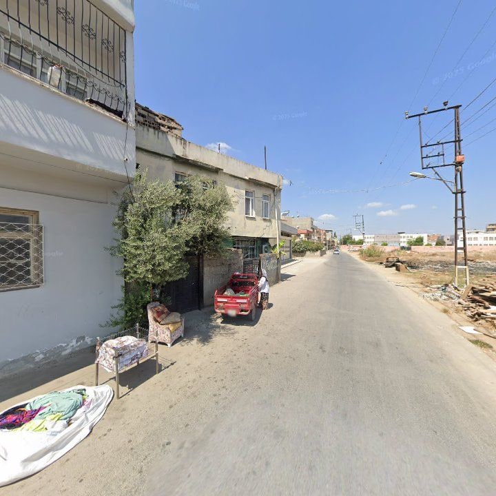 Fotoğraf 7