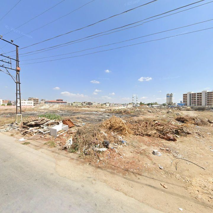 Fotoğraf 8