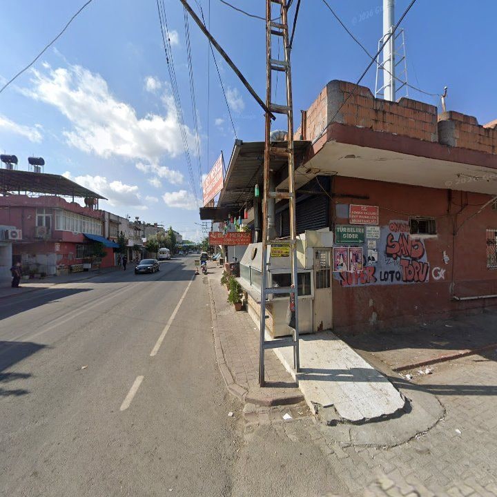 Fotoğraf 7