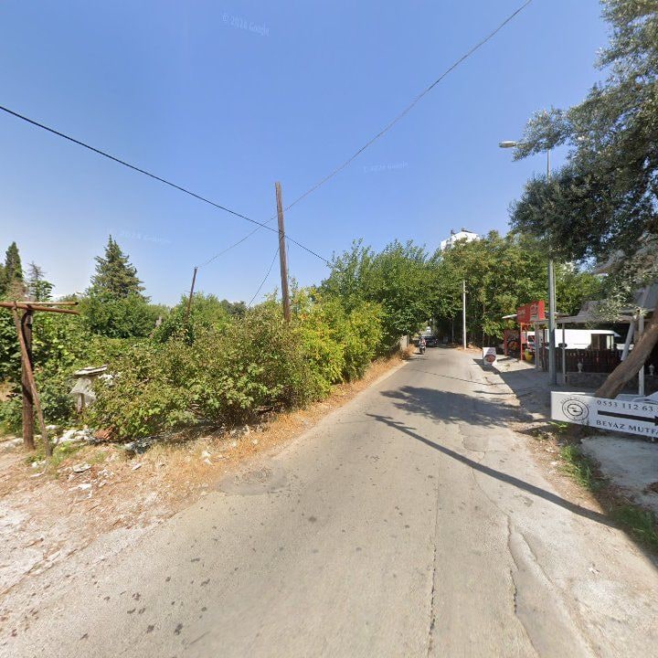 Fotoğraf 10