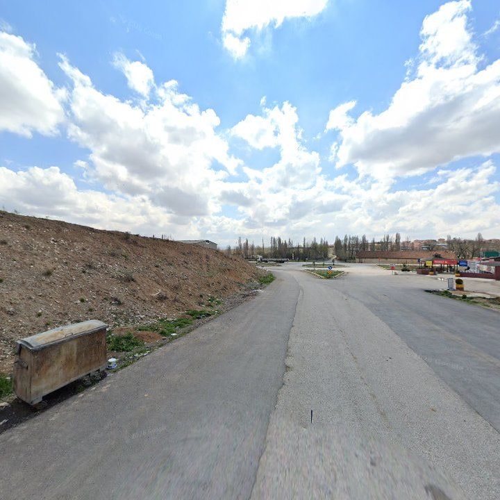 Fotoğraf 8