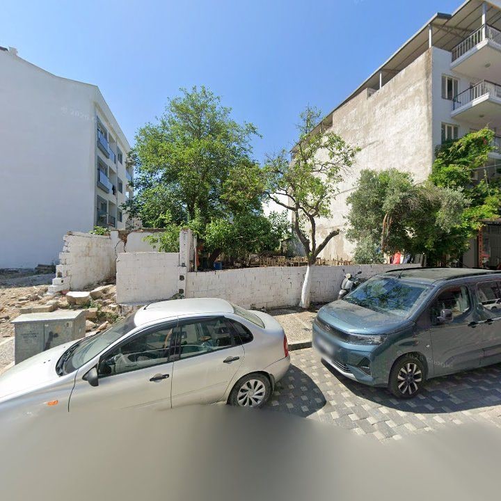 Fotoğraf 11