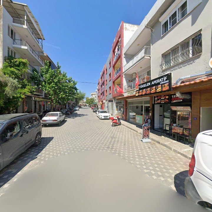 Fotoğraf 12
