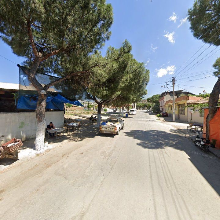 Fotoğraf 5