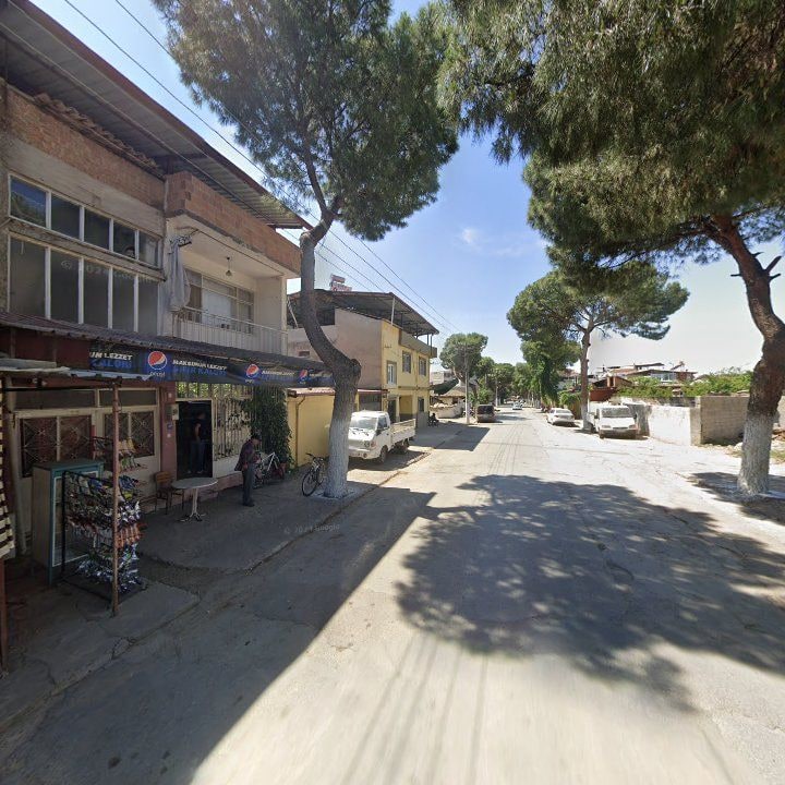 Fotoğraf 3