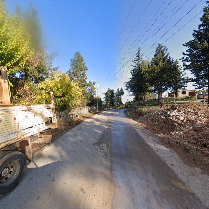 Fotoğraf 10