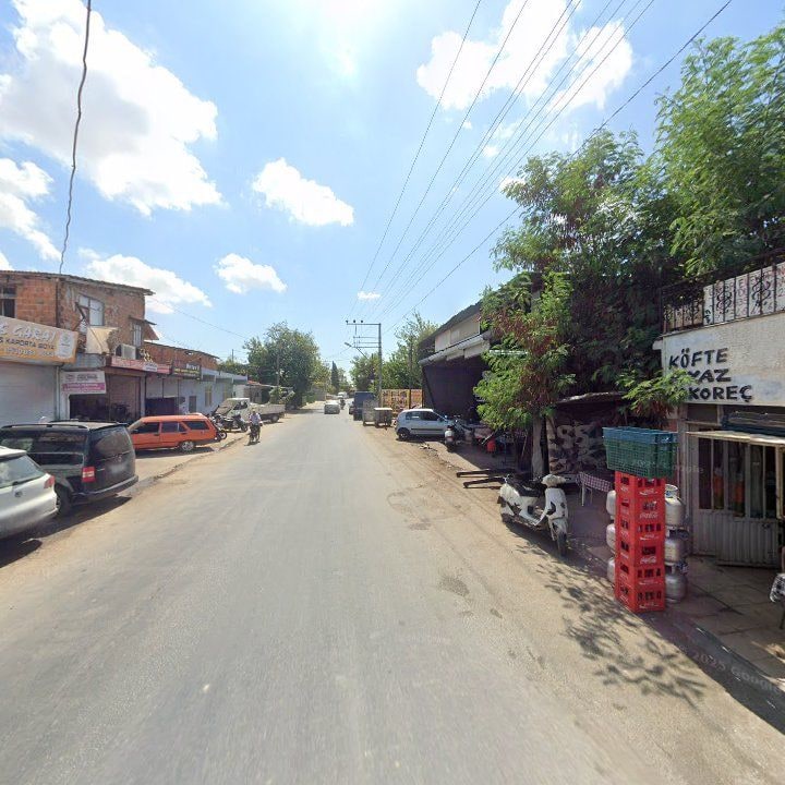 Fotoğraf 6
