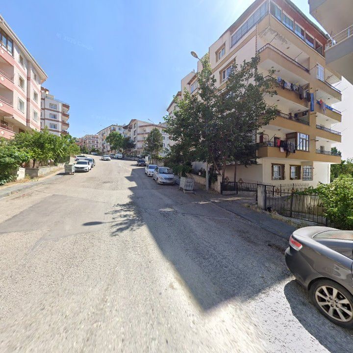 Fotoğraf 6