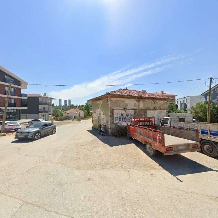 Fotoğraf 7
