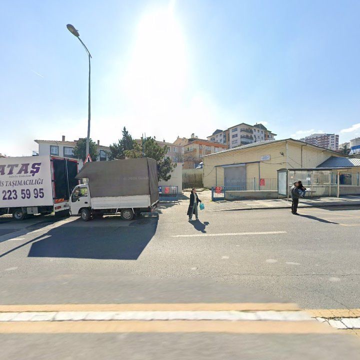 Fotoğraf 8
