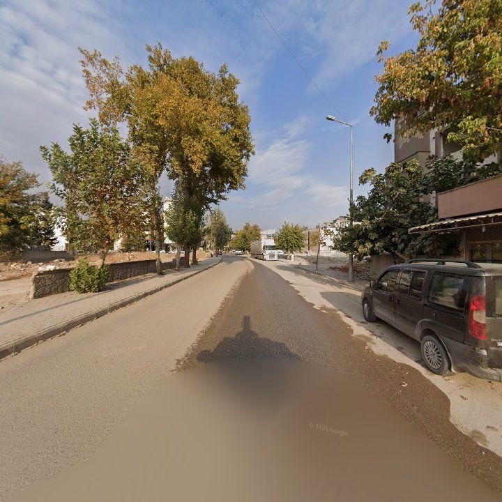 Fotoğraf 5