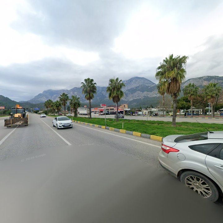 Fotoğraf 3