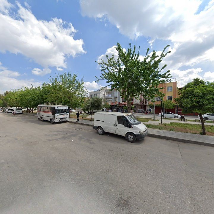 Fotoğraf 6