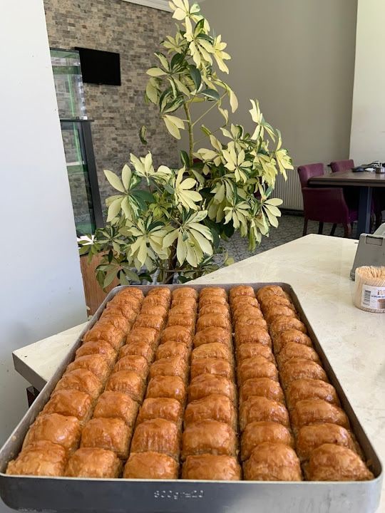 Fotoğraf 4
