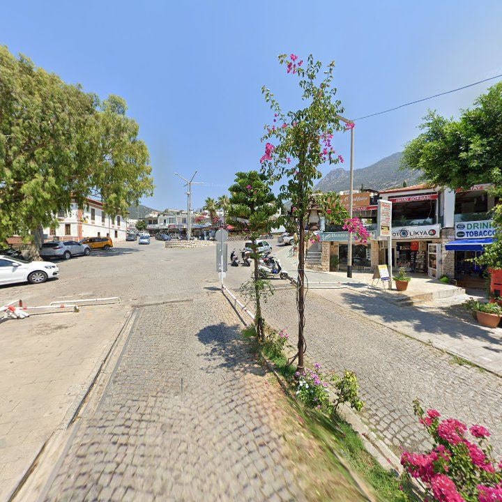 Fotoğraf 9