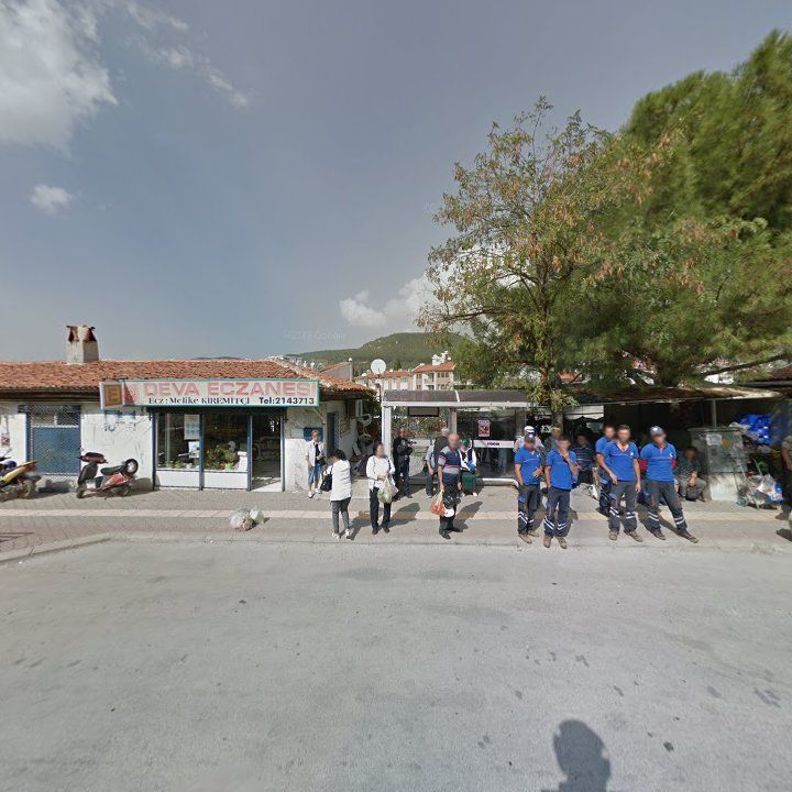 Bi Balık