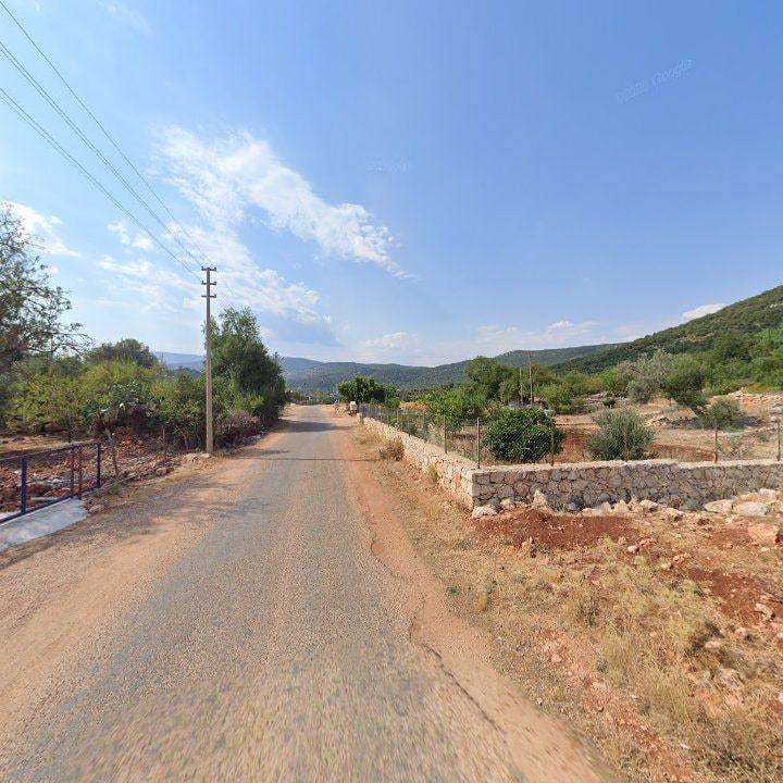 Fotoğraf 10