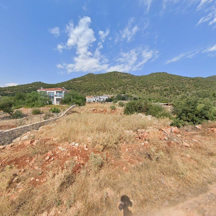 Fotoğraf 11
