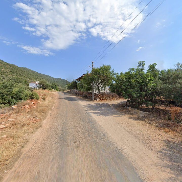 Fotoğraf 12