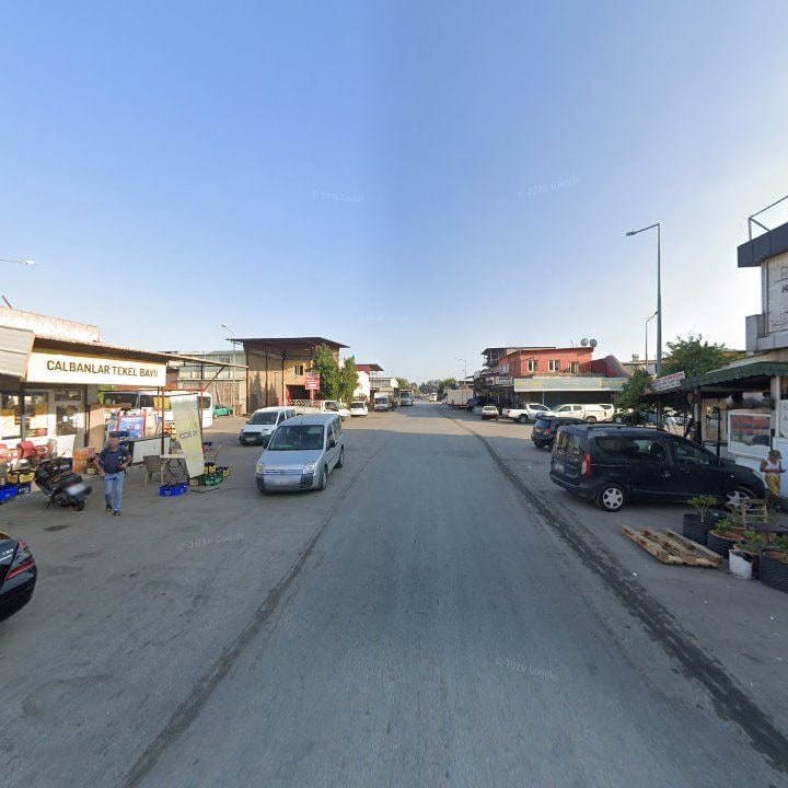 Fotoğraf 7
