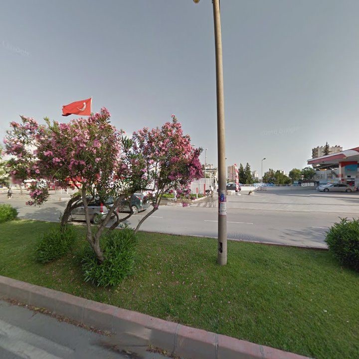 Fotoğraf 6