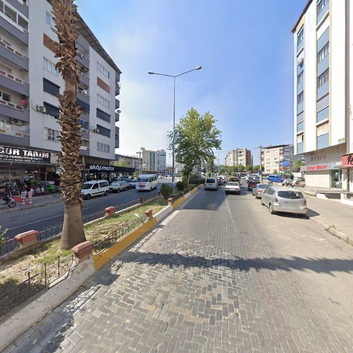 Fotoğraf 8