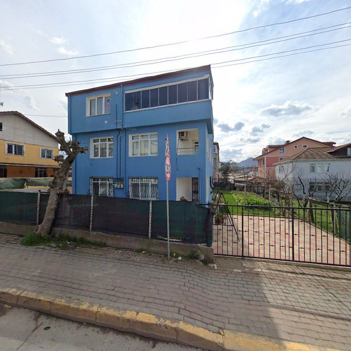 Fotoğraf 8