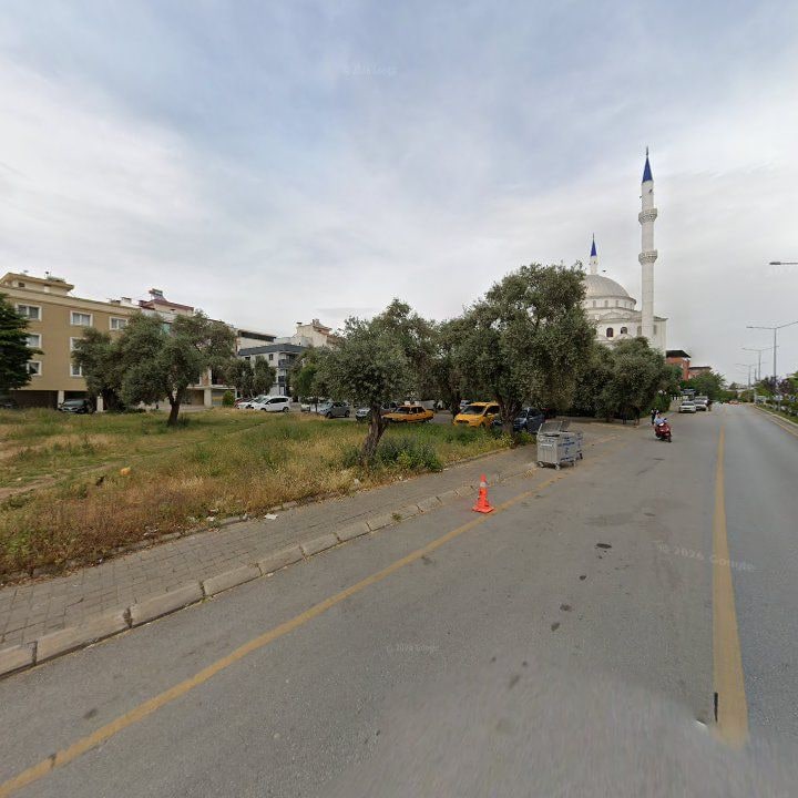 Fotoğraf 13