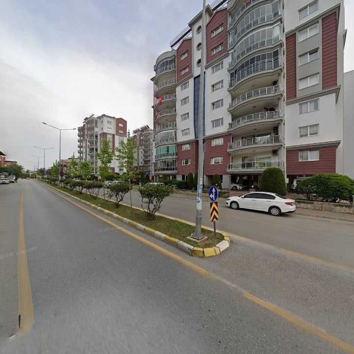 Fotoğraf 14