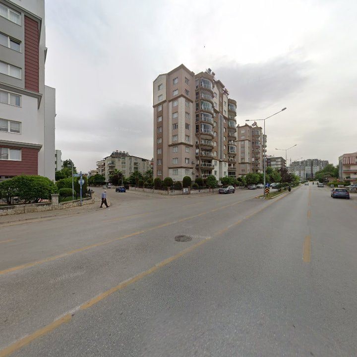 Fotoğraf 15