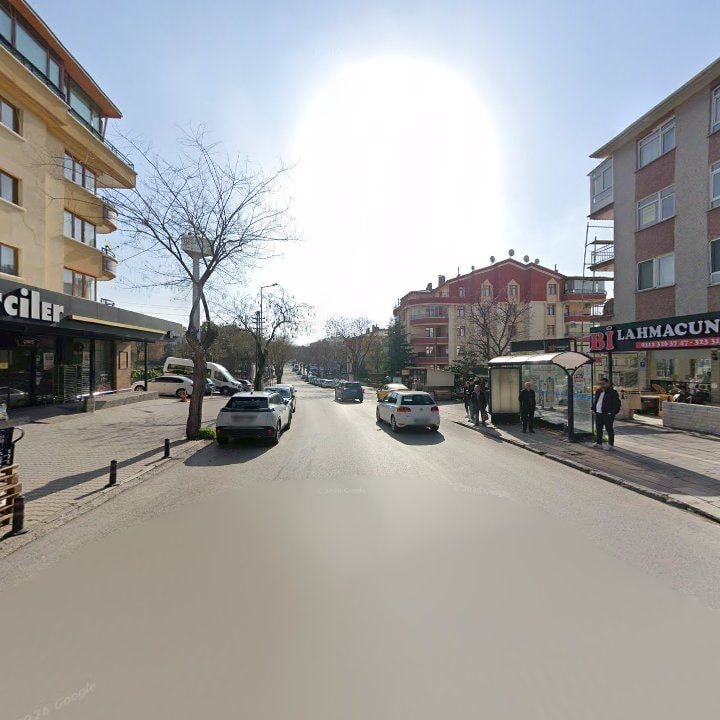 Fotoğraf 8