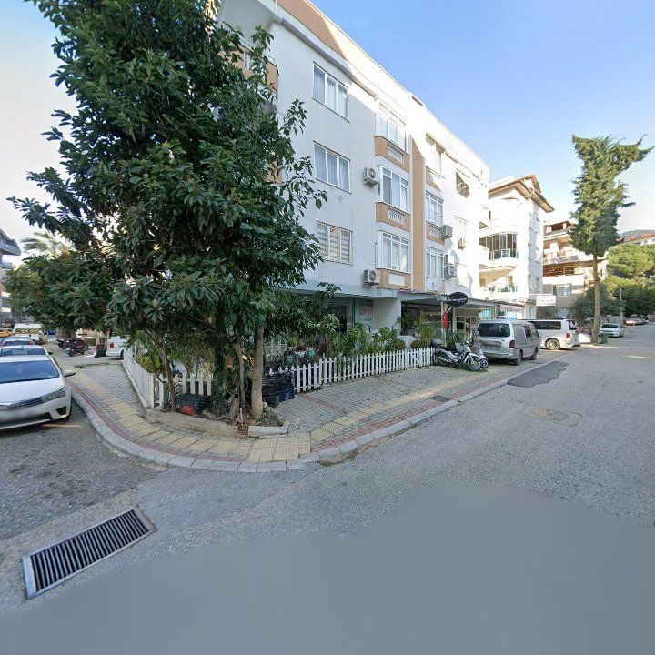 Fotoğraf 6