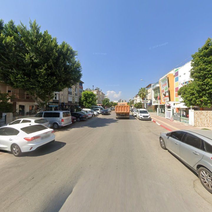 Fotoğraf 8