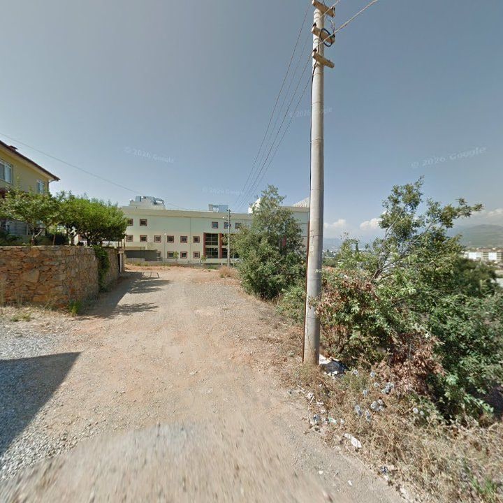 Fotoğraf 8